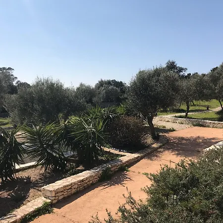 Nyaraló L'albitru