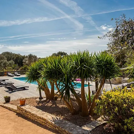 L'albitru Casa vacanze