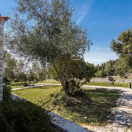 Casa vacanze L'albitru *
