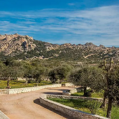 L'albitru Bonifacio