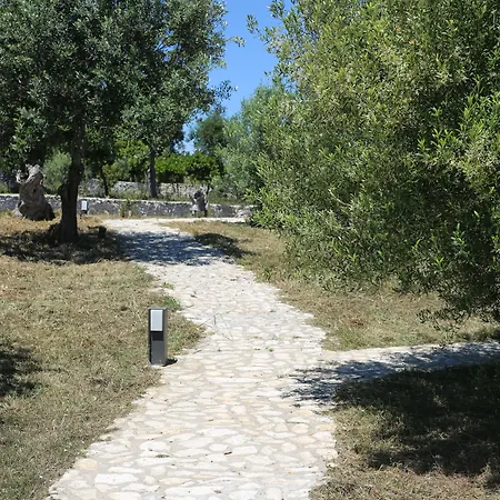 Holiday home L'albitru Bonifacio (Corsica)