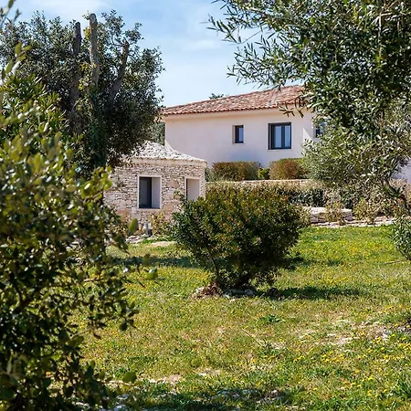 Holiday home L'albitru